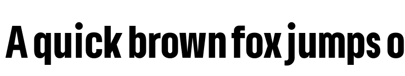 Preview of Lama Sans Black Condensed font