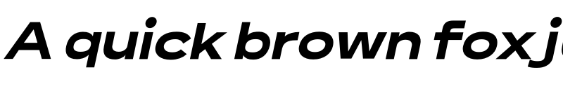 Preview of Lama Sans Black Expanded Italic font