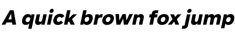 Preview of Lama Sans Black Italic font