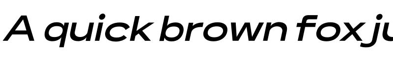 Preview of Lama Sans Bold Expanded Italic font