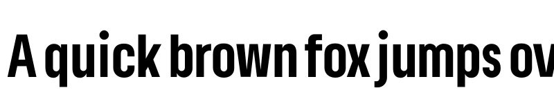 Preview of Lama Sans ExtraBold Condensed font