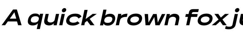 Preview of Lama Sans ExtraBold Expanded Italic font