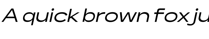 Preview of Lama Sans Medium Expanded Italic font