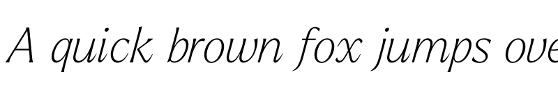 Preview of Larken Thin Italic font