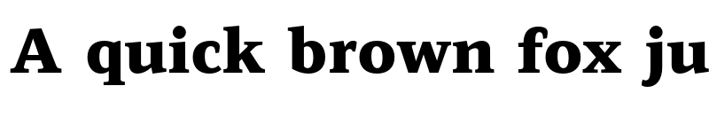 Preview of Leida Black font