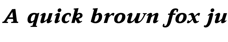 Preview of Leida ExtraBold Italic font