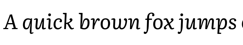 Preview of Literata Book Italic font