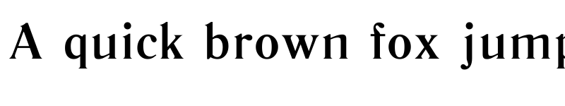 Preview of Literaturnaya Book Book font