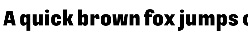 Preview of Loos Compressed Black font