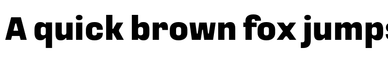 Preview of Loos Condensed Black font