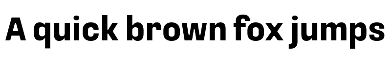 Preview of Loos Condensed Bold font