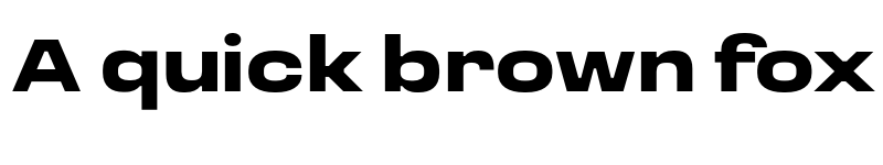 Preview of Loos ExtraWide Black font