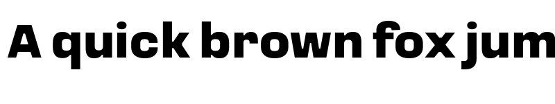 Preview of Loos Normal Black font