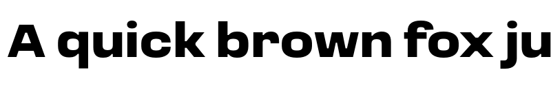 Preview of Loos Wide Black font