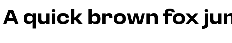 Preview of Loos Wide Bold font