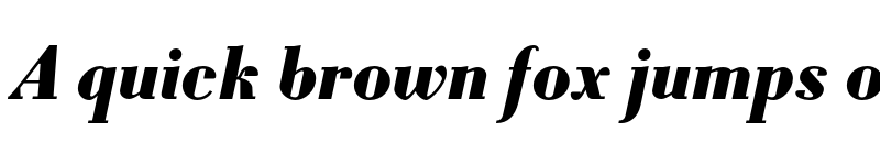 Preview of Louvette Text Black Italic font