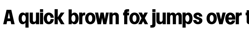 Preview of Lowball Neue Bold font