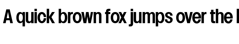 Preview of Lowball Neue Medium font