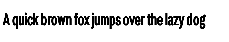 Preview of LT Amber Compressed Bold font