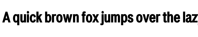 Preview of LT Amber Condensed Bold font