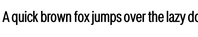 Preview of LT Amber Condensed Medium font