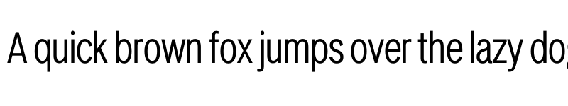 Preview of LT Amber Condensed Regular font