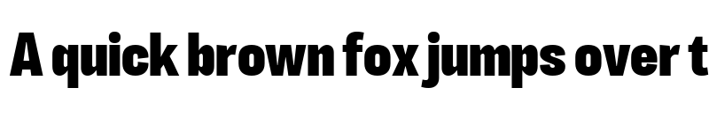 Preview of LT Eyesight Black Condensed font