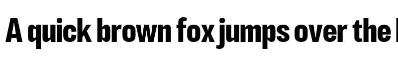 Preview of LT Eyesight Bold Condensed font