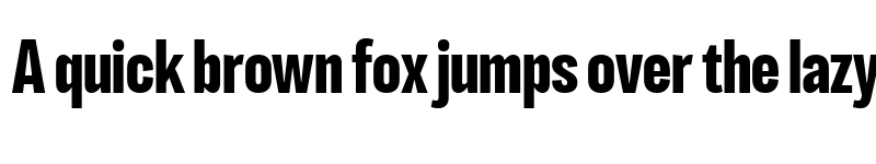 Preview of LT Eyesight Bold Extra Condensed font