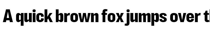 Preview of LT Eyesight Bold Semi Condensed font