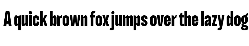 Preview of LT Eyesight Bold Ultra Condensed font