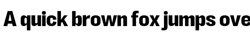 Preview of LT Eyesight Bold font