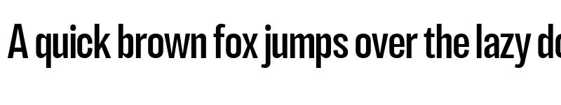 Preview of LT Eyesight Condensed font