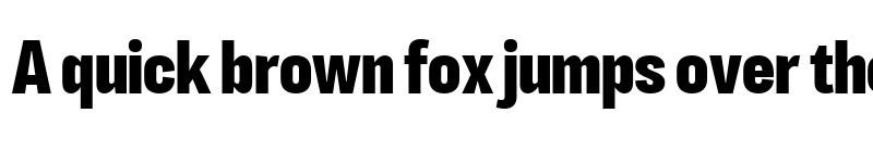 Preview of LT Eyesight Extra Bold Condensed font