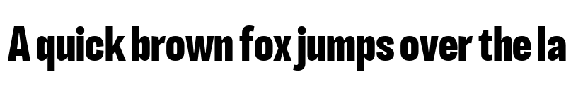 Preview of LT Eyesight Extra Bold Extra Condensed font