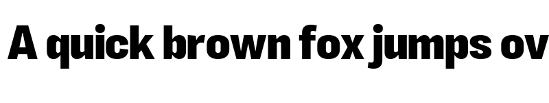 Preview of LT Eyesight Extra Bold font