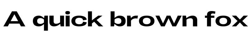 Preview of LT Eyesight Medium Ultra Expanded font