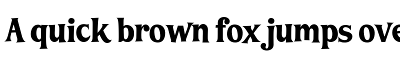 Preview of LT Funk Bold font