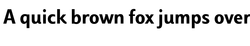 Preview of Luiss Sans Bold font