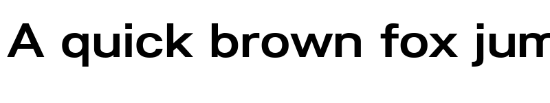 Preview of Lunchtype24 Expanded Medium font