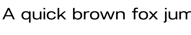 Preview of Lunchtype24 Expanded Regular font