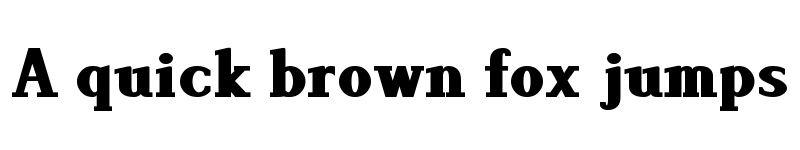 Preview of Lyons Serif Black font