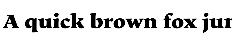 Preview of Maecenas Black font