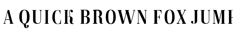 Preview of Magazine Bold font