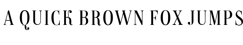 Preview of Magazine Regular font