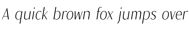 Preview of Magnisa Sans Italic font