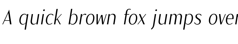 Preview of Magnisa Sans Medium Italic font