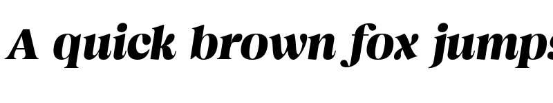 Preview of Magnivera Trial Bold Italic font