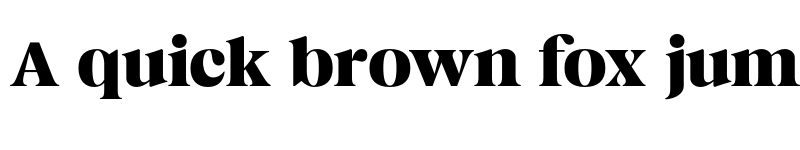 Preview of Magnivera Trial Bold font