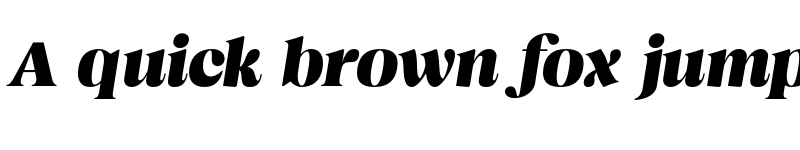 Preview of Magnivera Trial Heavy Italic font